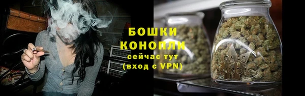 spice Гусь-Хрустальный