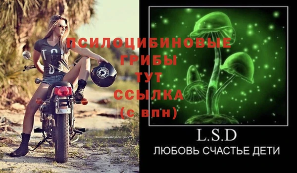 тгк Кирсанов