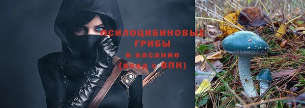 бошки Нея