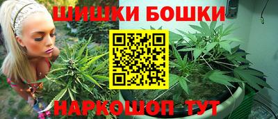тгк Гай