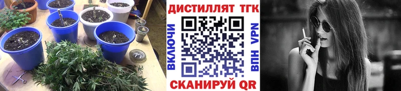 ТГК вейп Осинники