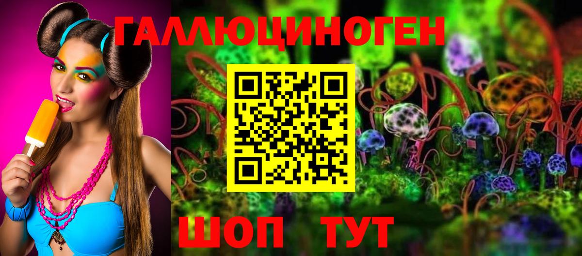 Галлюциногенные грибы GOLDEN TEACHER  Вход с VPN  Осинники 
